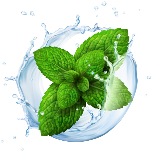 Riccardo Aroma Mint ...