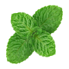 Riccardo Aroma Pfefferminz - 10 ml