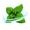 Riccardo Aroma Menthol - 10 ml