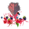 Red Dragon Aroma Dragon Blood - 10 ml