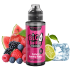 Big Bottle Aroma - Einfach Fruchtig Frisch - 10 ml Longfill